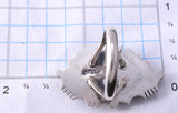 Size 9 Silver & Kingman Turquoise Navajo Ring by Daniel Benally 5L07H