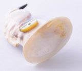 White Shell Zuni Quail Fetish by Darrin Boone 5L09H