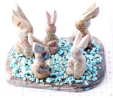 Picasso Marble Zuni Fetish - 5 rabbits with Turquoise by Stafford Chimoni 5L09