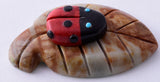 Picasso Marble Zuni Fetish - Lady Bug on a leaf by Reynold Lonasee 5L09K