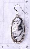 Silver & White Buffalo Turquoise Navajo Earrings by Sammie Burnside 6D09H