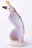 White Shell Zuni Quail Fetish by Darrin Boone 5L09H