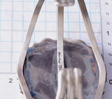 Silver & Wildhorse Stone Navajo Handmade Bracelet by Donovan Nez 5L20Q