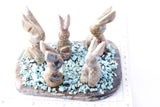 Picasso Marble Zuni Fetish - 5 rabbits with Turquoise by Stafford Chimoni 5L09