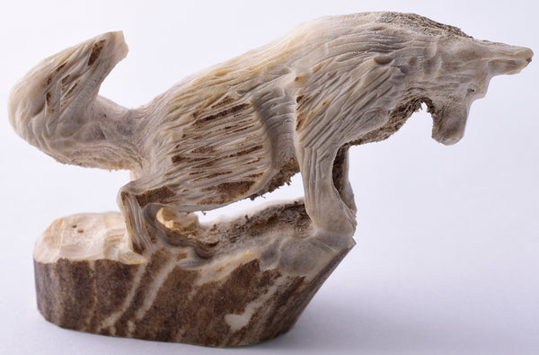 Wolf Fetish by Lewis Malie 5L09A