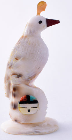 White Shell Zuni Quail Fetish by Darrin Boone 5L09H
