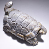 Picasso Marble Handcarved Turtle Fetish by Herbert Him 4D02L